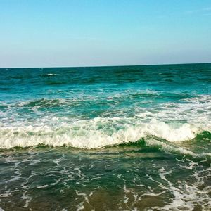 Meet your Posher, Jared